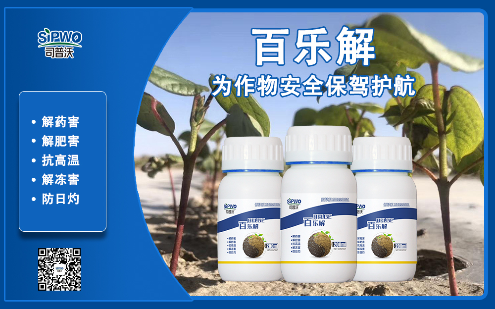 司普沃赫蔓百樂解，解凍害、解肥害、解藥害，棉花上再顯神威！