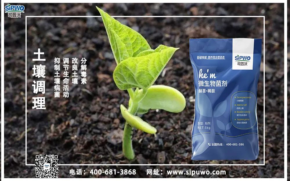 【農(nóng)技知識】土壤出問題了，肥料用再多也別想增產(chǎn)！