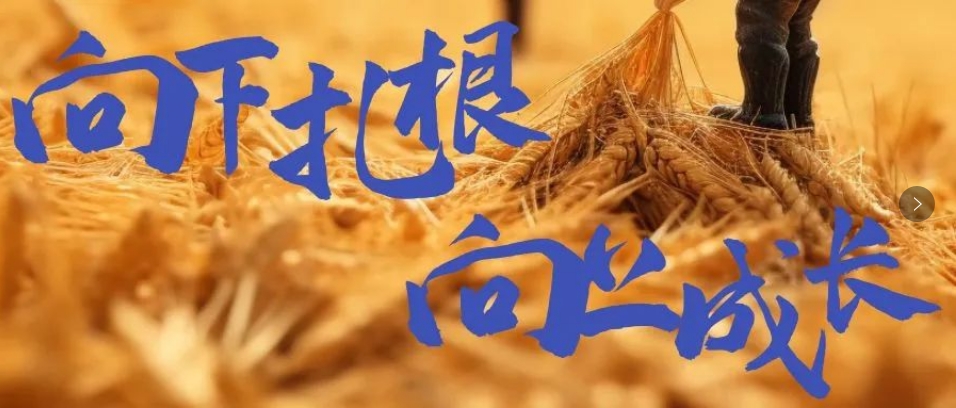 向下扎根，向上成長(zhǎng)，司普沃6月市場(chǎng)服務(wù)一線效果反饋