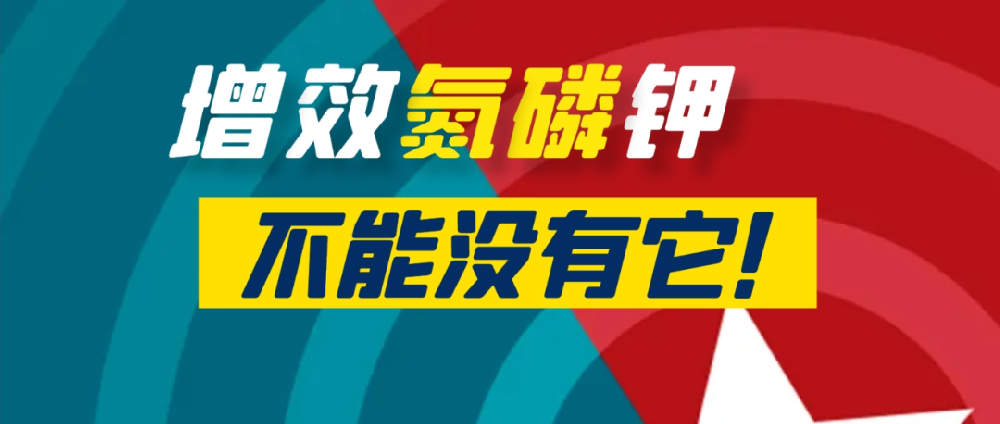 要想作物長得好，中量元素少不了！