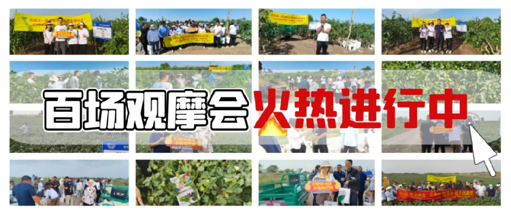 司普沃盛啟百場(chǎng)觀摩會(huì)，**檢驗(yàn)產(chǎn)品熱潮正當(dāng)時(shí)