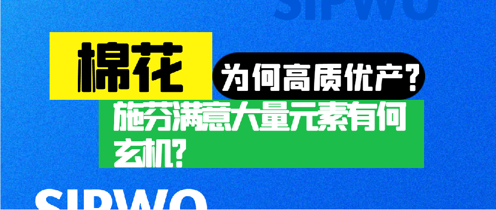 棉花憑啥高產(chǎn)優(yōu)質(zhì)？施芬滿意大量元素有何玄機(jī)？